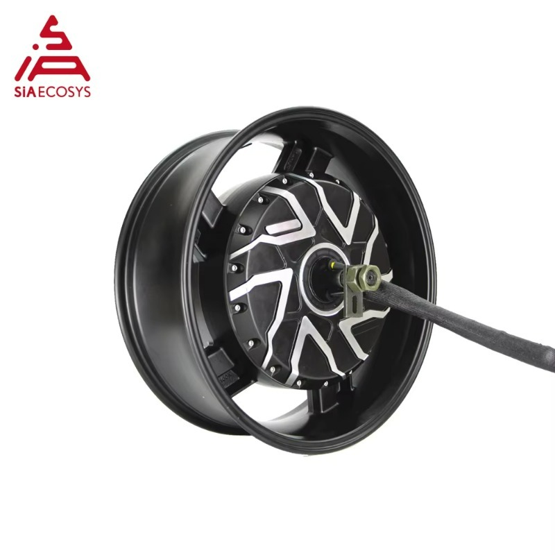 17X6.0 Inch 273 12000W V4 72V  - 12000W Electric Motorcycle Hub Motor 评论和价格